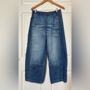 Pilcro Izzie pull on barrel jeans Anthropologie S
